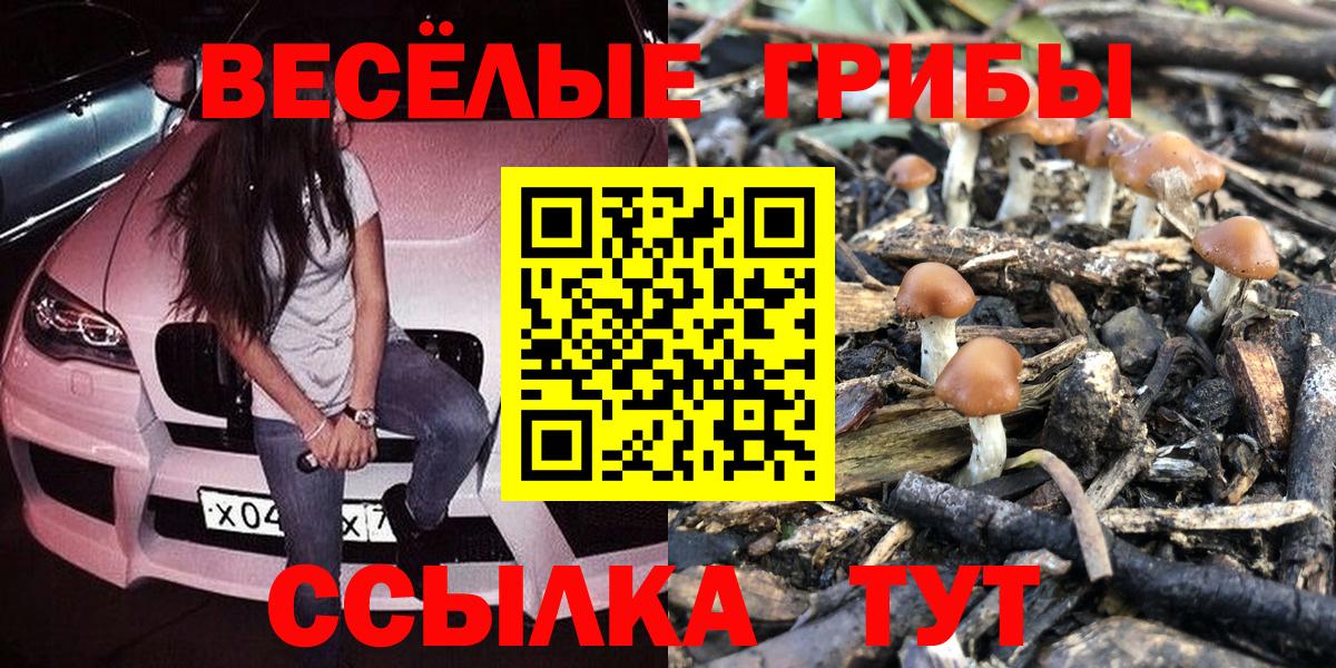 Псилоцибиновые грибы мицелий  Вход с VPN  Мурманск 