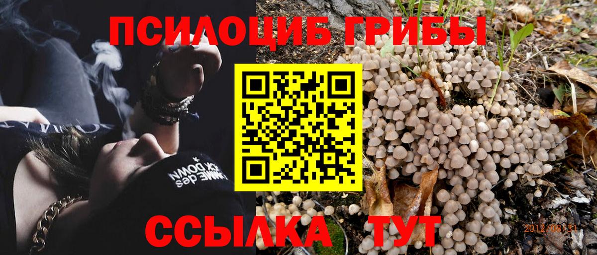  COCAIN Мурманск